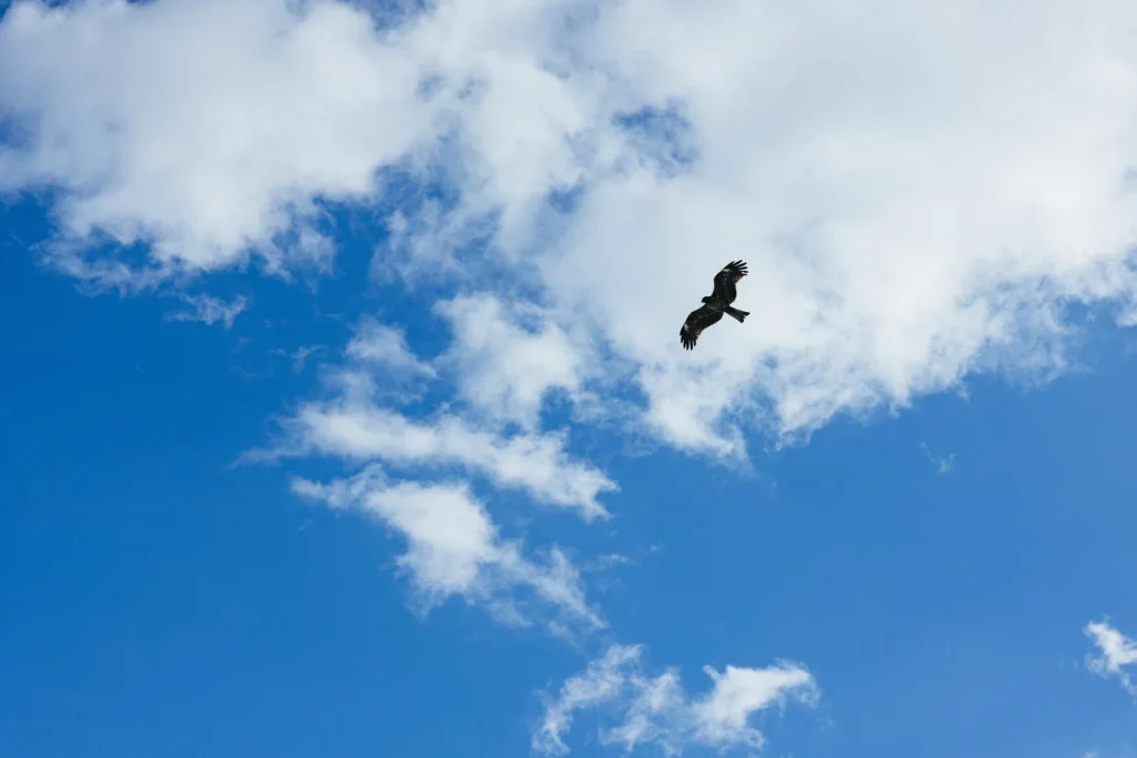 空の写真